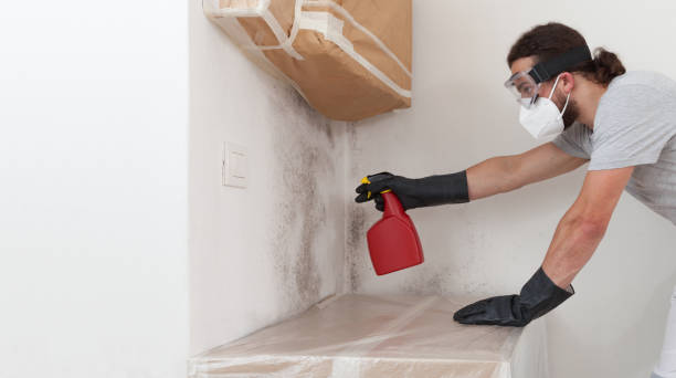 Professional Attic Mold Remediation technician working in Hartfield, VA