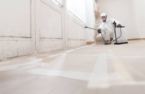 24/7 Emergency Attic Mold Remediation experts in Hartfield, VA