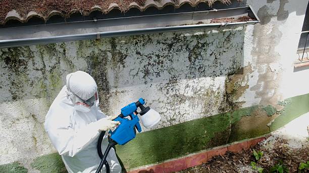 Top rated local Attic Mold Remediation specialists in Hartfield, VA